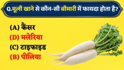 मूली खाने से कौन-सी बीमारी में फायदा होता है? जानिए ये रोचक GK GK Quiz
